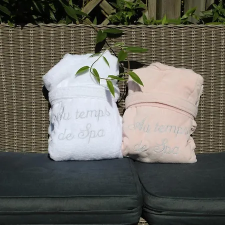 Au Temps De - La Tour Du Tonnelet 3* Spa