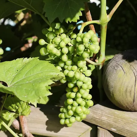 Frühstückspension Au Temps De - La Tour Du Tonnelet 3*