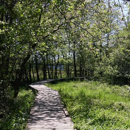 Au Temps De - La Tour Du Tonnelet Bed & Breakfast Spa